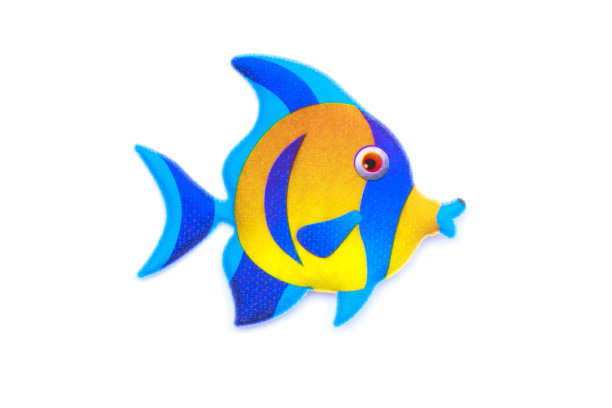 金色条纹褐红色小丑鱼- Premnas biaculeatus -股票形象图片下载