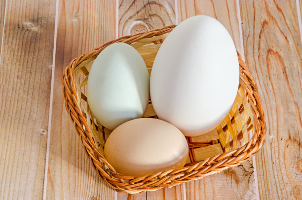 收集蛋，大白鹅蛋，绿鸭蛋，图片下载