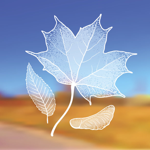 模糊的背景上带有垃圾摇滚效果的秋叶图片下载