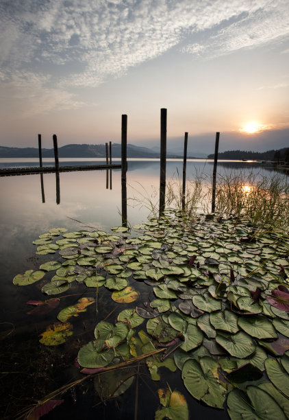 平静的湖面上美丽的日出。图片下载