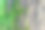 森林里粗糙的石头上长满了青苔。用宏观视图显示。长满苔藓的岩石图片下载