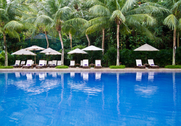 有椰子树和躺椅的游泳池图片下载