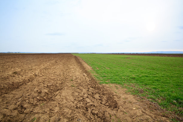 平原田野图片下载