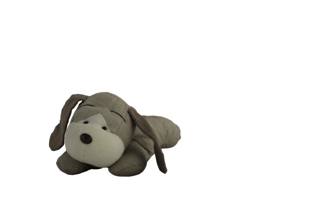 狗娃娃sleeo，孤立的白色图片下载