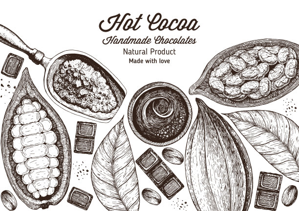 矢量插图框架与可可产品。手工巧克力，有机食品。复古元素的设计。图片下载