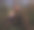 美丽的女巫坐在森林的树干上图片下载