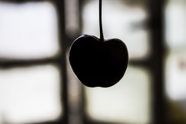 樱桃的水果图片下载