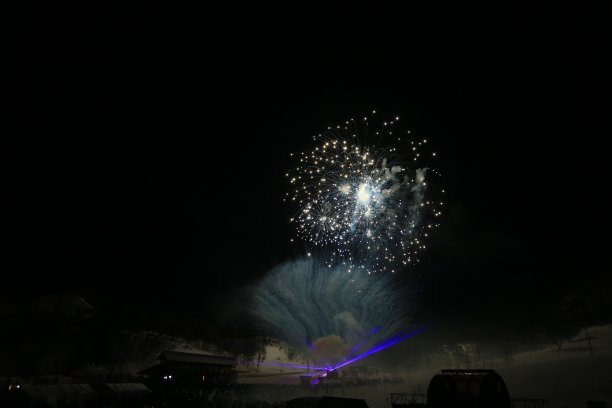 鞭炮花图片素材ID：158965006