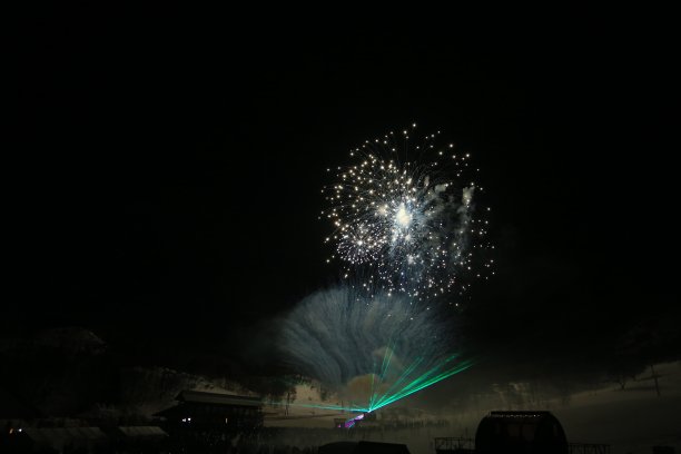 鞭炮花图片素材ID：158965324