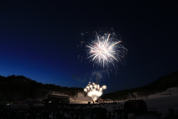 鞭炮花图片素材ID：158965402