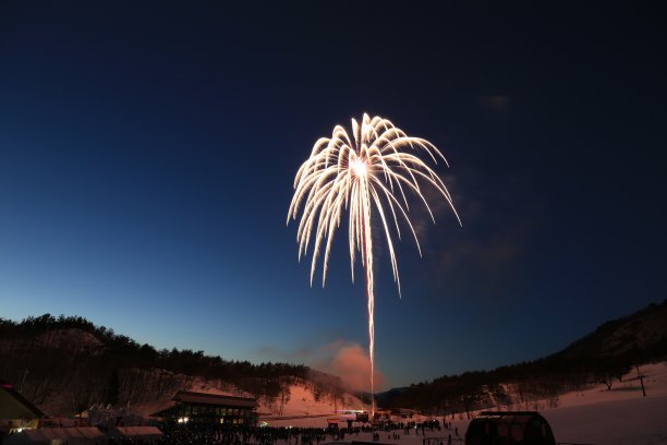 鞭炮花图片素材ID：158965438