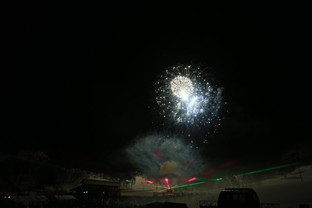 鞭炮花图片素材ID：158965492