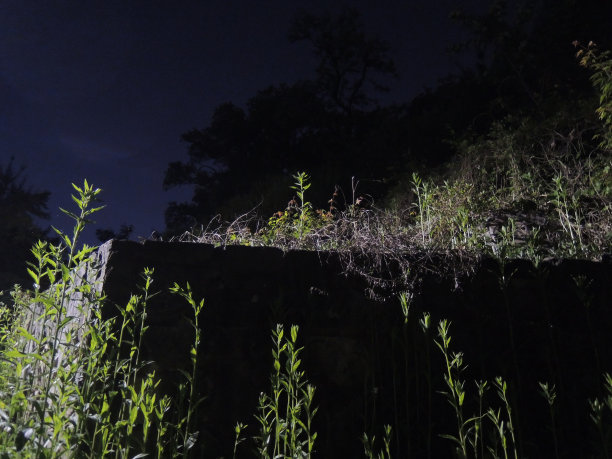 呼吸夜晚的空气图片下载