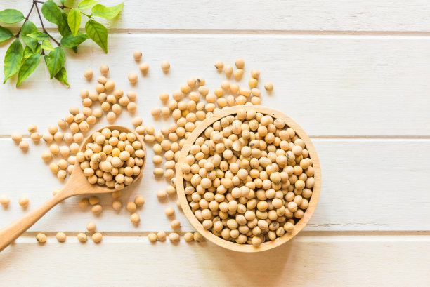 大豆被放在白色的桌子上，健康的概念。素材图片