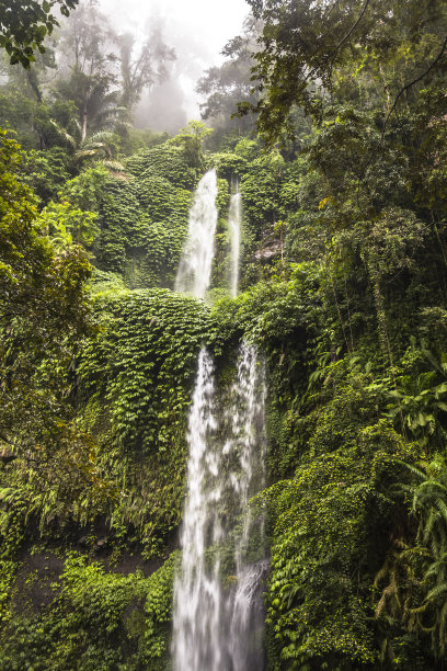 龙目岛丛林中的瀑布图片下载