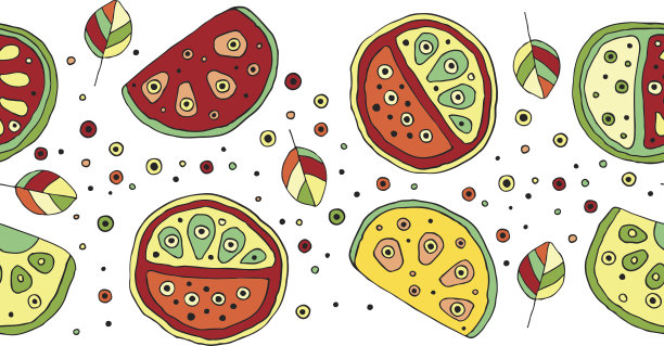 无缝矢量手绘幼稚图案，边框，带有果实。可爱的小西瓜，带着叶子、种子、水滴。涂鸦、素描、卡通风格背景。无尽的重复样板图片下载