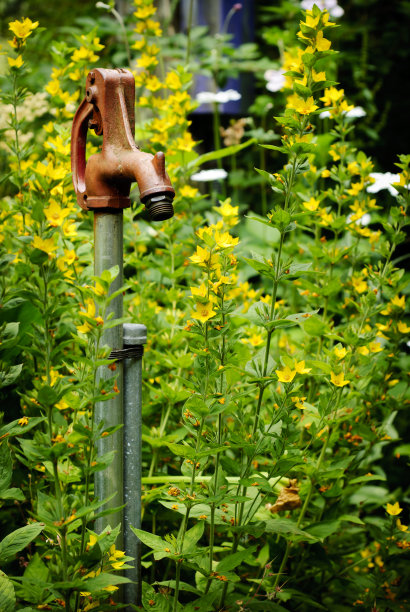 旧的水泵图片下载