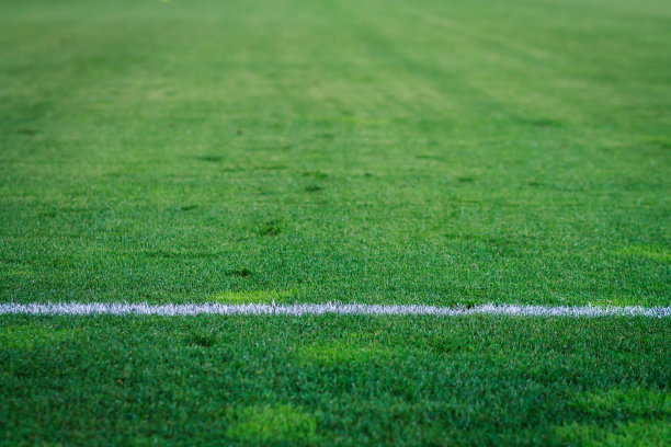 草地上的白线的地面水平视图图片下载