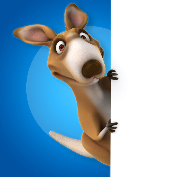 有趣的袋鼠图片下载