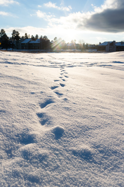 夕阳下的雪道，冬天的科罗拉多州图片下载