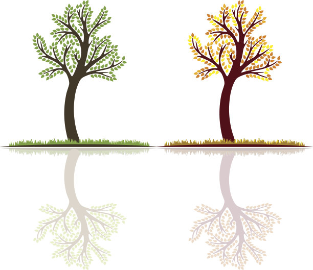 设置，夏季和秋季树向量与反射图片下载