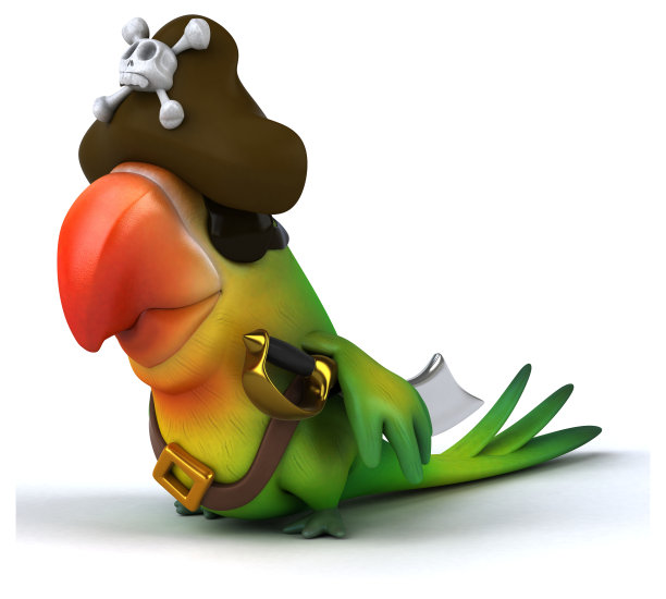 有趣的鹦鹉图片下载