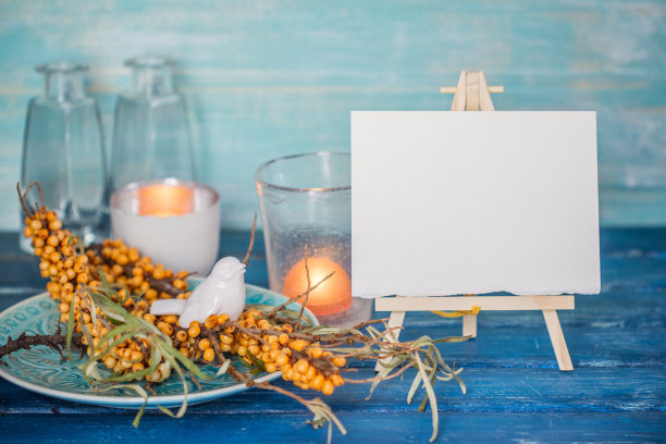 鼠李和空白画布的迷你画架图片下载