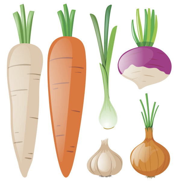 胡萝卜和其他根类蔬菜图片下载