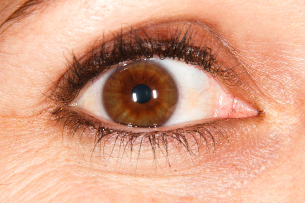 从眼睛看图片下载