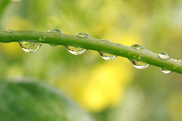 滴水图片下载