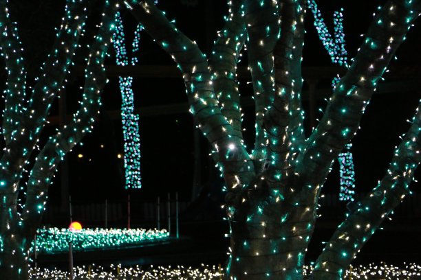 圣诞节照明图片下载