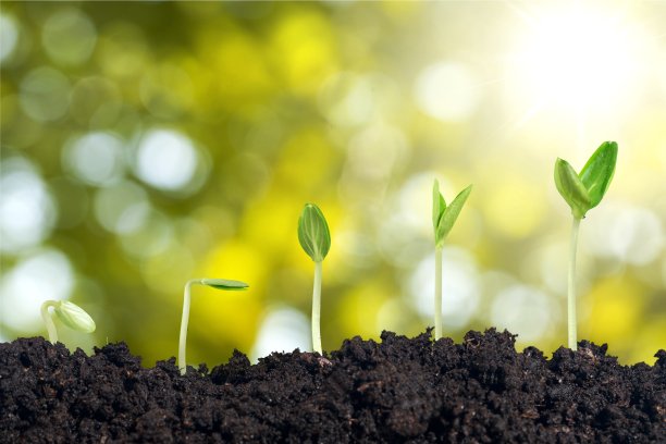 工厂。图片下载