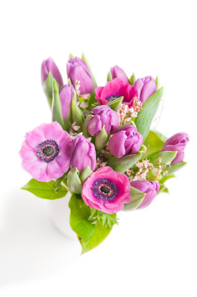 白色的紫花图片下载