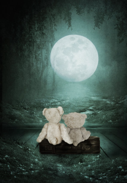 泰迪熊图片下载