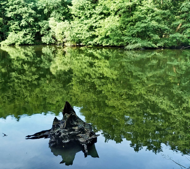 科诺皮斯特湖，捷克共和国图片下载