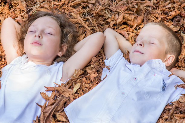 孩子们躺在树叶中图片下载