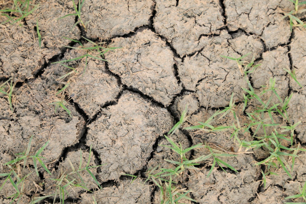 照片上是一片荒芜的龟裂的土壤和一些草地，图片下载