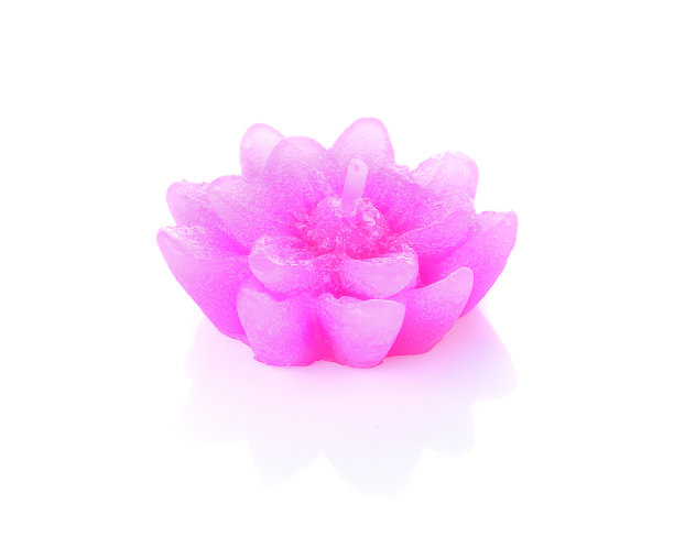 花蜡烛孤立图片下载