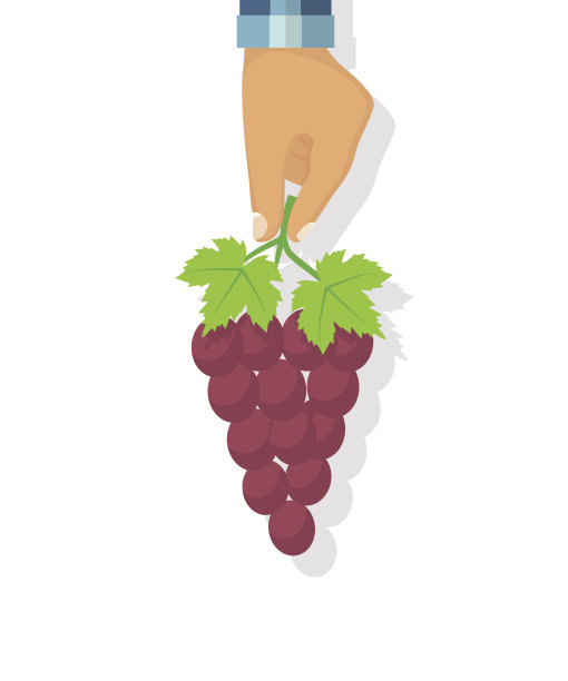 手里拿着葡萄的男人。图片下载