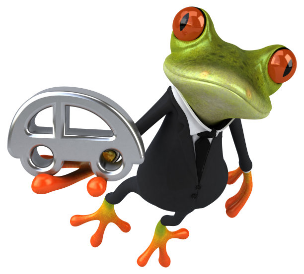 有趣的青蛙图片下载