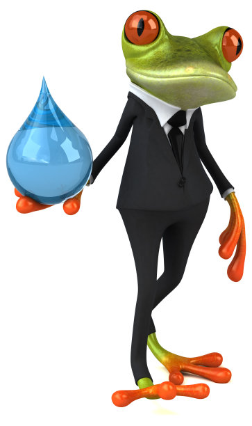 有趣的青蛙图片下载