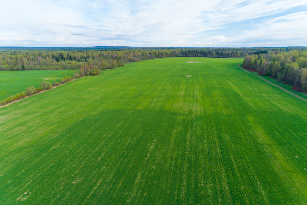 俄罗斯绿色几何农田鸟瞰图图片下载