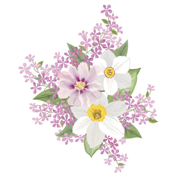 鲜花花束孤立。花的框架。繁荣贺卡。图片下载