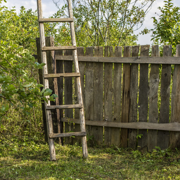 花园栅栏旁的旧木梯图片下载