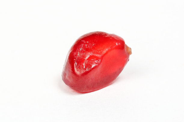 石榴水果种子图片下载