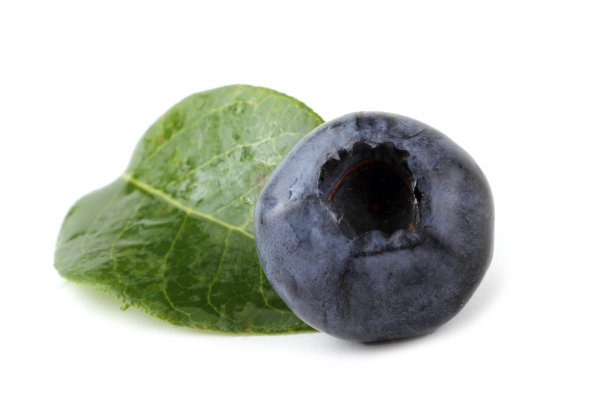 蓝莓叶图片下载