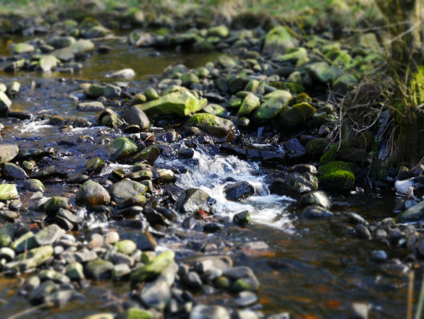 小溪的细流图片下载