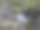 小溪的细流图片下载
