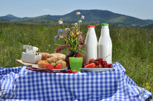 草地野餐图片下载