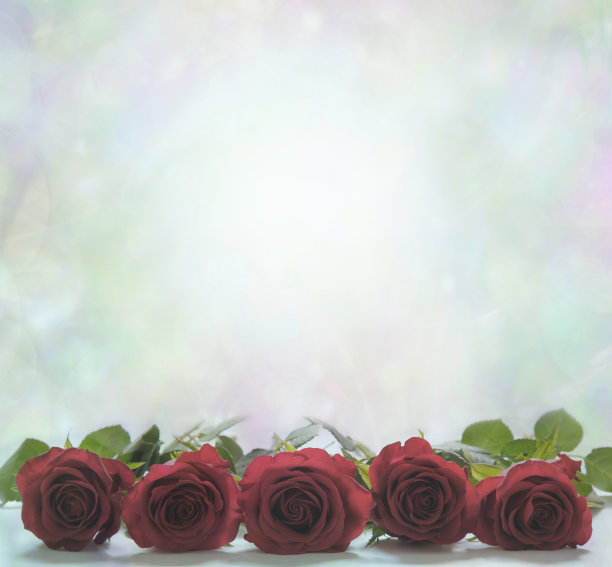 红玫瑰页脚海报背景图片下载